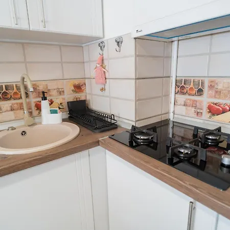 Renovated Gem Plumbuita Park Apartment *