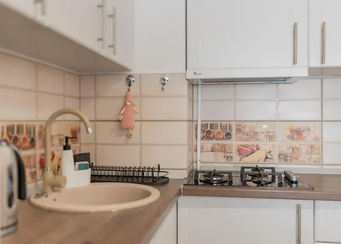 Renovated Gem Plumbuita Park * Bukarest