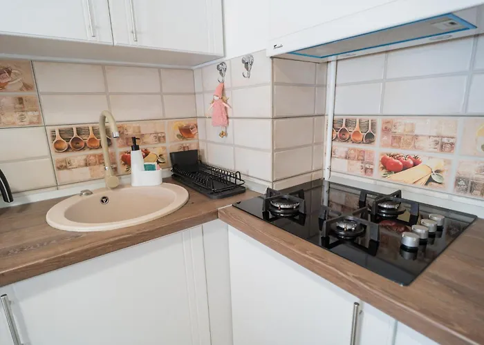 Renovated Gem Plumbuita Park Apartament *